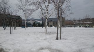 一面の雪で立入不可能