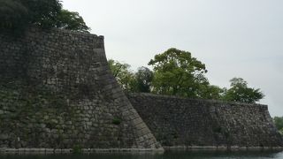 大阪城公園梅林からみるとその高さがよくわかります
