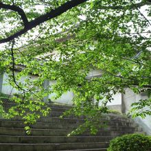 逆側からは緑が美しい