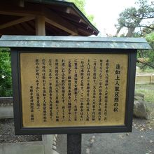 袈裟掛けの松　説明文