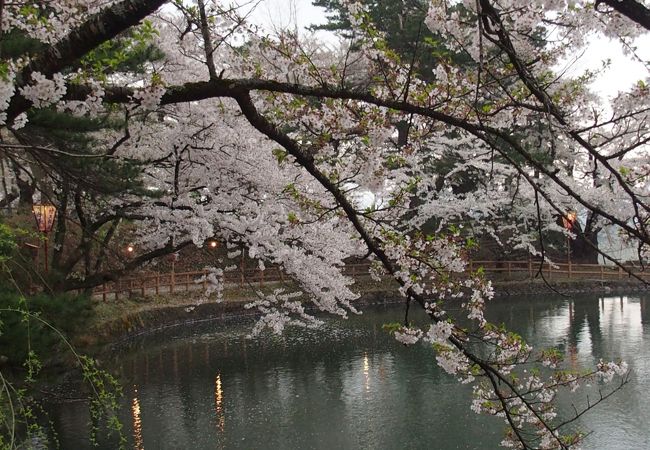 真人公園桜まつり クチコミ アクセス 営業時間 横手 フォートラベル 真人公園桜まつり クチコミ アクセス 営業時間 横手 フォートラベル