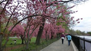 できれば時間をとって散策して欲しい、都心のオアシス。