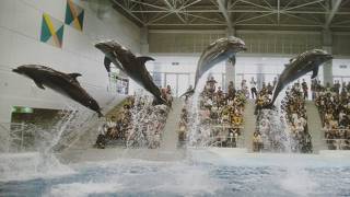 いおワールドかごしま水族館