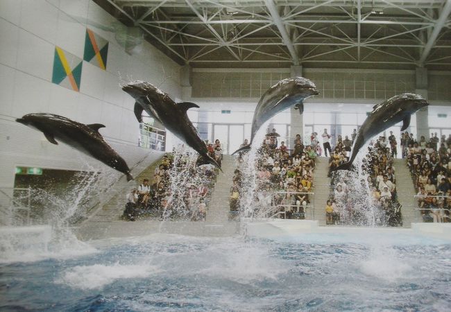 いおワールドかごしま水族館