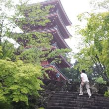 高知県内唯一の五重塔