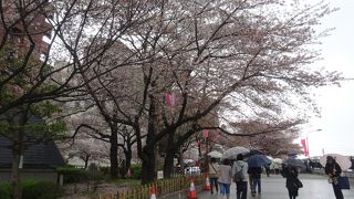 隅田公園