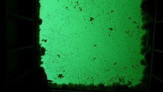 流氷の時期がお勧め・・・