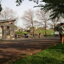 ストア 三郷公園 ペット