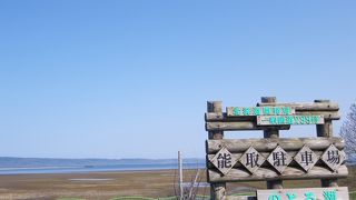 サンゴ草が有名