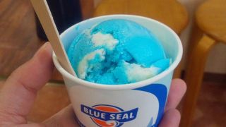 沖縄に来たら食べてみたかったアイス