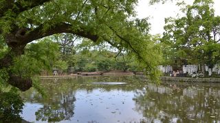 右が源氏池で左が平家池。