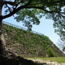 天守台。天守閣があったのか・・・は今も分かっていないようです