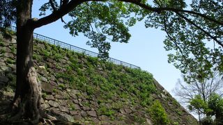 緑の福岡城跡を散歩しました。