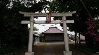 瀬谷八福神様をめぐる途中で、左馬社によってみた！