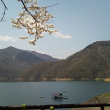 九頭竜湖と桜