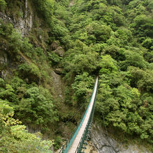 おっかないつり橋もありました