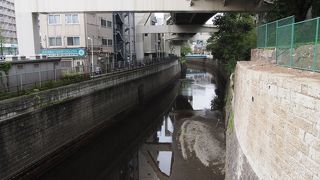 港区唯一の地上河川
