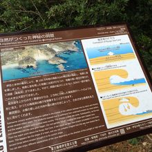 英語でも紹介文があります。