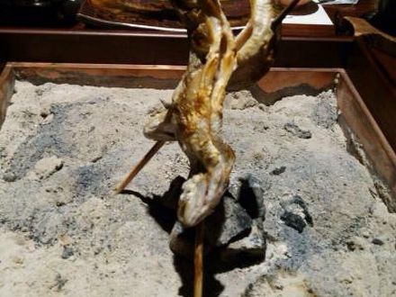 濁河温泉 源泉かけ流しの宿 朝日荘の宿泊予約なら フォートラベル の格安料金比較 濁河温泉 下島温泉