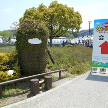 年を取ったモリゾーとキッコロ