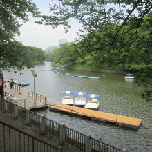 ボートも「千鳥ヶ淵」の名物ですね
