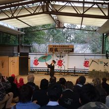 ショーは絶対見るべき