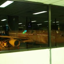 伝説上の鳥ガルーダが尾翼に・・・