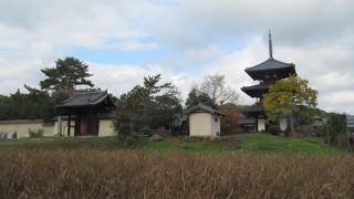 田園風景に綺麗になじむ