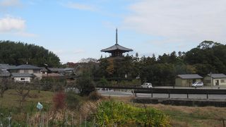 田圃からとてもきれいに見える