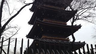 優美な姿です。