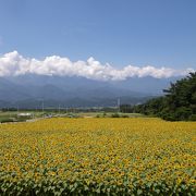 お天気の良い日に！