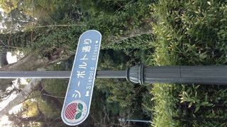 シーボルト通り  長崎・鳴滝