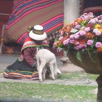 中庭のお土産売り。ヤギが鳴きます。