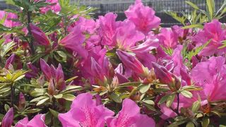 横浜3塔のひとつ、緑青のドームがいい