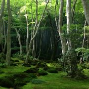 苔むしたお寺がすばらしい