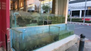 カニカレーがうまい！