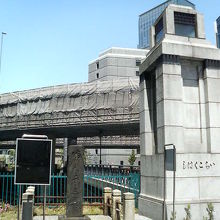 １本だけ目立って建っています。