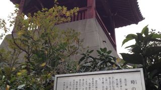 芭蕉に詠まれたようです。