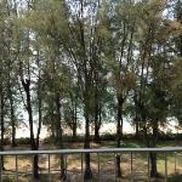 部屋からの眺望はいまいち