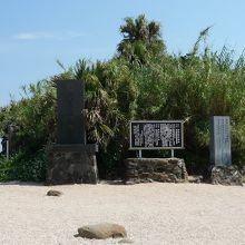 島に入ると突然こんもりと熱帯林となっています