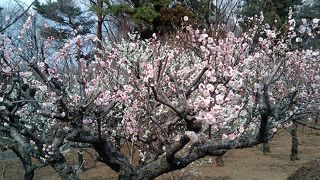 自然の中で、収穫体験。