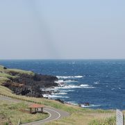 ウチヤマセンニュウ（野鳥）の観察ポイント