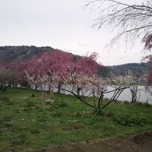 国道の反対側の川沿いです