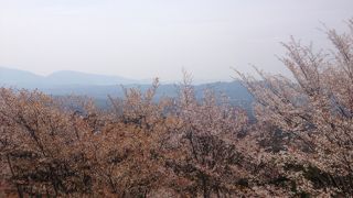 どうだろうか高城山展望台