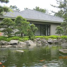 池から建物を望みます。