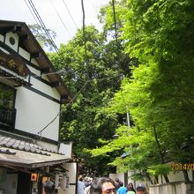 深大寺から行く道です。