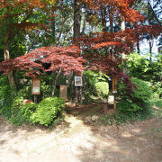 山の上の森が美術館