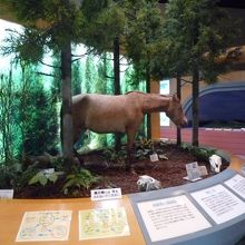 都井岬ビジターセンター　うまの館