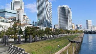 寝そべれる芝生が魅力