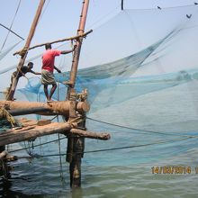 大きさがわかりますか。